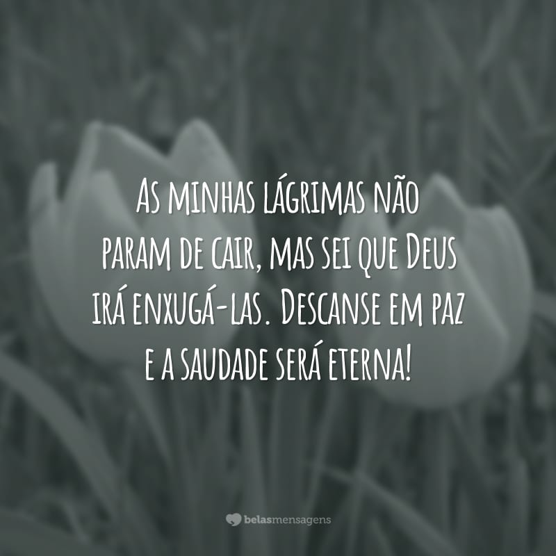 As minhas lágrimas não param de cair, mas sei que Deus irá enxugá-las. Descanse em paz e a saudade será eterna!