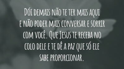 Dói demais não te ter mais aqui e não poder mais conversar e sorrir com você. Que Jesus te receba no colo dele e te dê a paz que só ele sabe proporcionar.