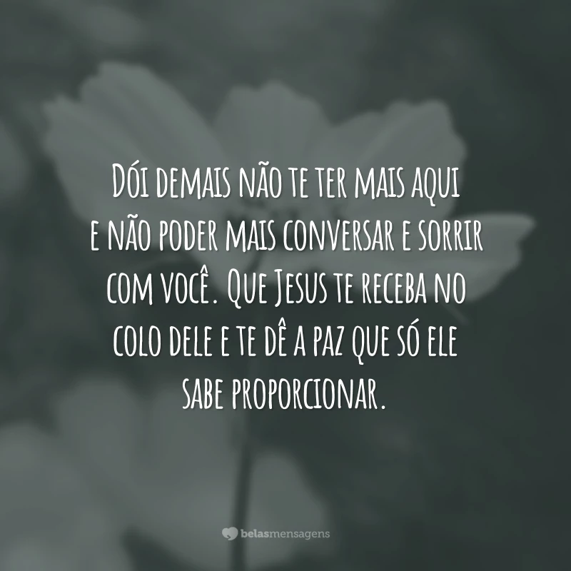 Dói demais não te ter mais aqui e não poder mais conversar e sorrir com você. Que Jesus te receba no colo dele e te dê a paz que só ele sabe proporcionar.