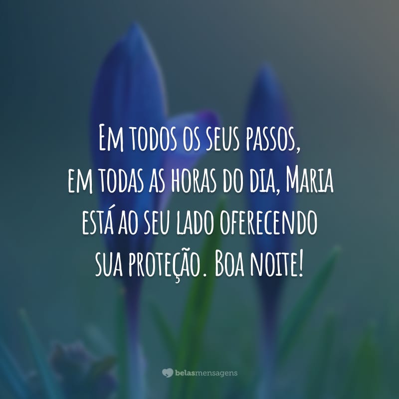 Em todos os seus passos, em todas as horas do dia, Maria está ao seu lado oferecendo sua proteção. Boa noite!