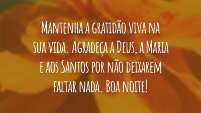 Mantenha a gratidão viva na sua vida. Agradeça a Deus, a Maria e aos Santos por não deixarem faltar nada. Boa noite!