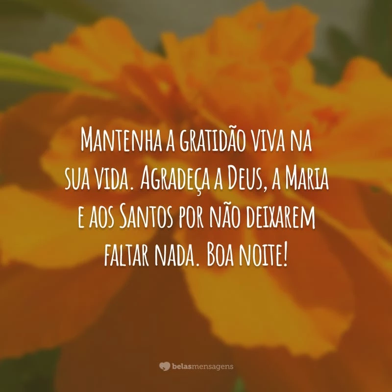 Mantenha a gratidão viva na sua vida. Agradeça a Deus, a Maria e aos Santos por não deixarem faltar nada. Boa noite!