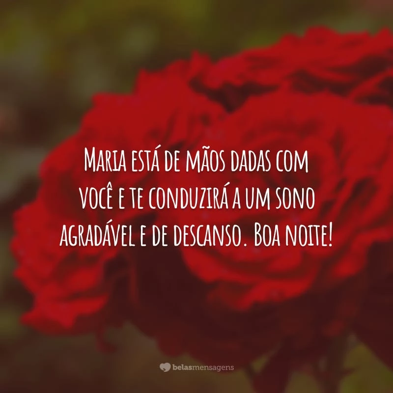 Maria está de mãos dadas com você e te conduzirá a um sono agradável e de descanso. Boa noite!