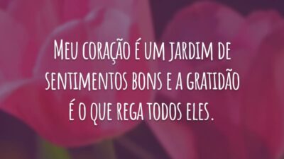 Meu coração é um jardim de sentimentos bons e a gratidão é o que rega todos eles.