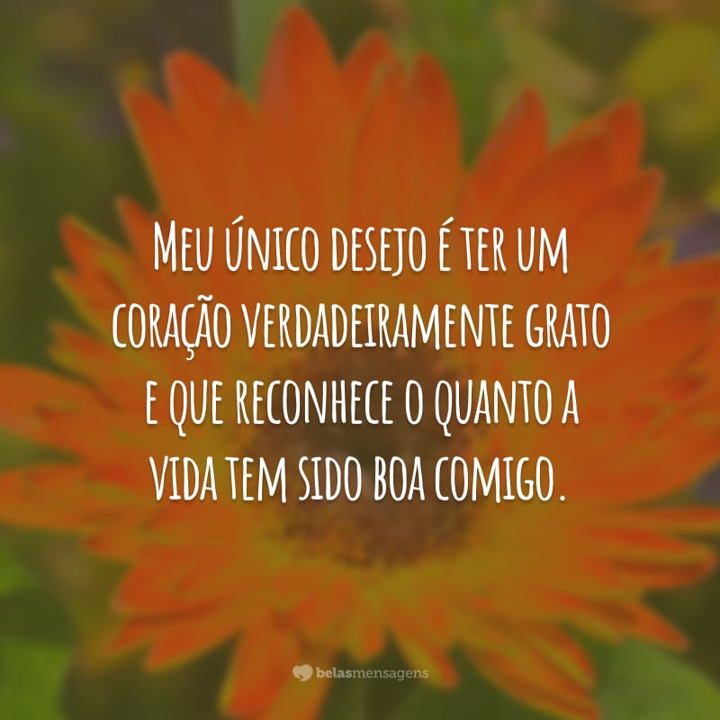 Meu único desejo é ter um coração verdadeiramente grato e que reconhece o quanto a vida tem sido boa comigo.