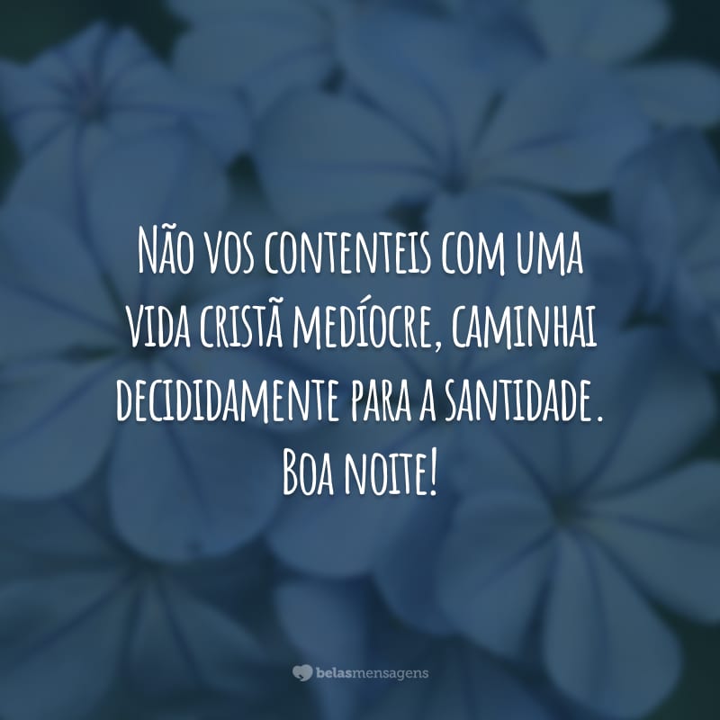 Não vos contenteis com uma vida cristã medíocre, caminhai decididamente para a santidade. Boa noite!