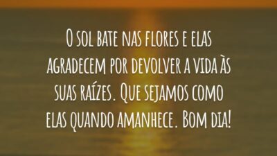 O sol bate nas flores e elas agradecem por devolver a vida às suas raízes. Que sejamos como elas quando amanhece. Bom dia!