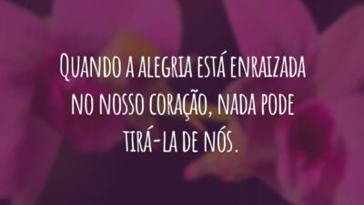Quando a alegria está enraizada no nosso coração, nada pode tirá-la de nós.