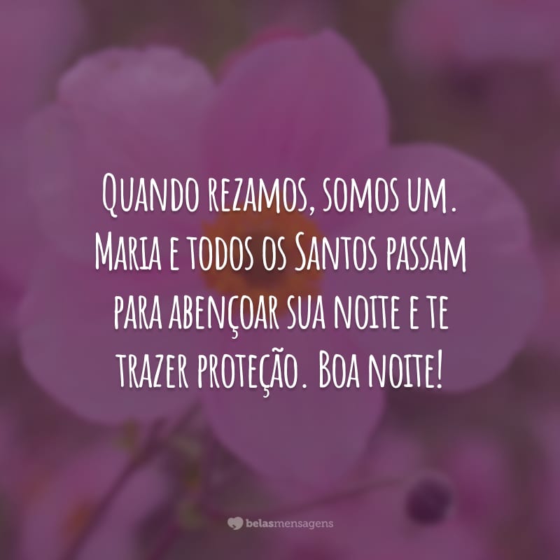 Quando rezamos, somos um. Maria e todos os Santos passam para abençoar sua noite e te trazer proteção. Boa noite!