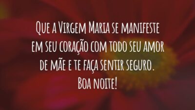 Que a Virgem Maria se manifeste em seu coração com todo seu amor de mãe e te faça sentir seguro. Boa noite!