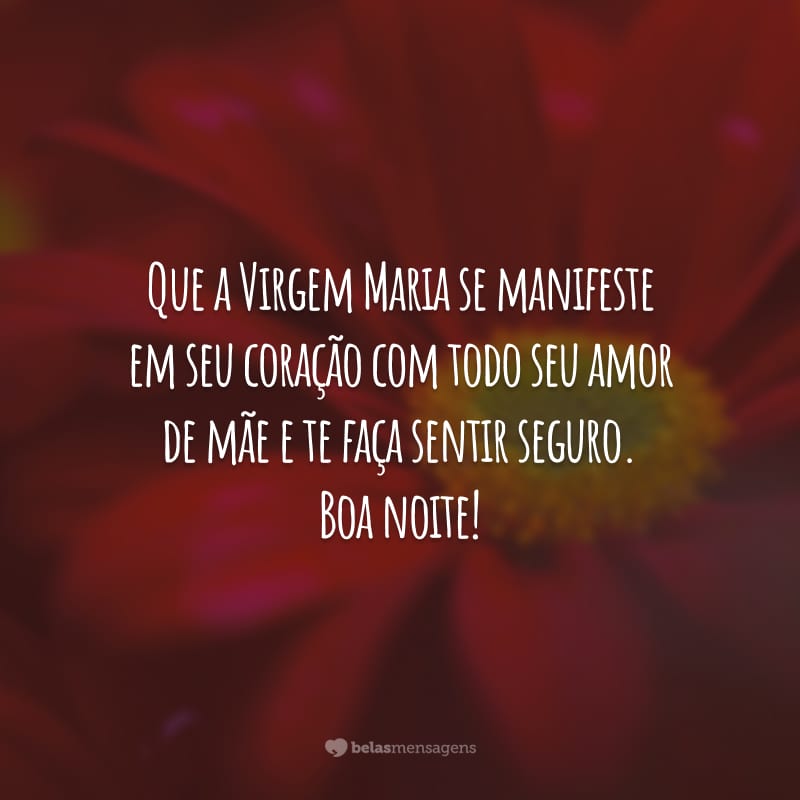 Que a Virgem Maria se manifeste em seu coração com todo seu amor de mãe e te faça sentir seguro. Boa noite!