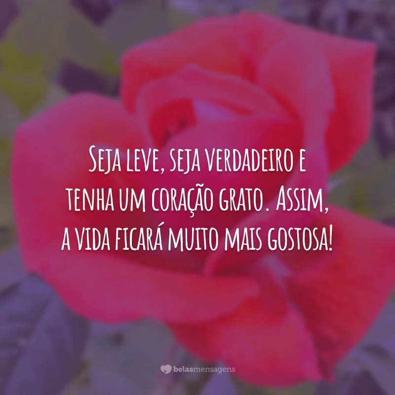 Seja leve, seja verdadeiro e tenha um coração grato. Assim, a vida ficará muito mais gostosa!