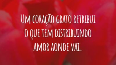 Um coração grato retribui o que tem distribuindo amor aonde vai.