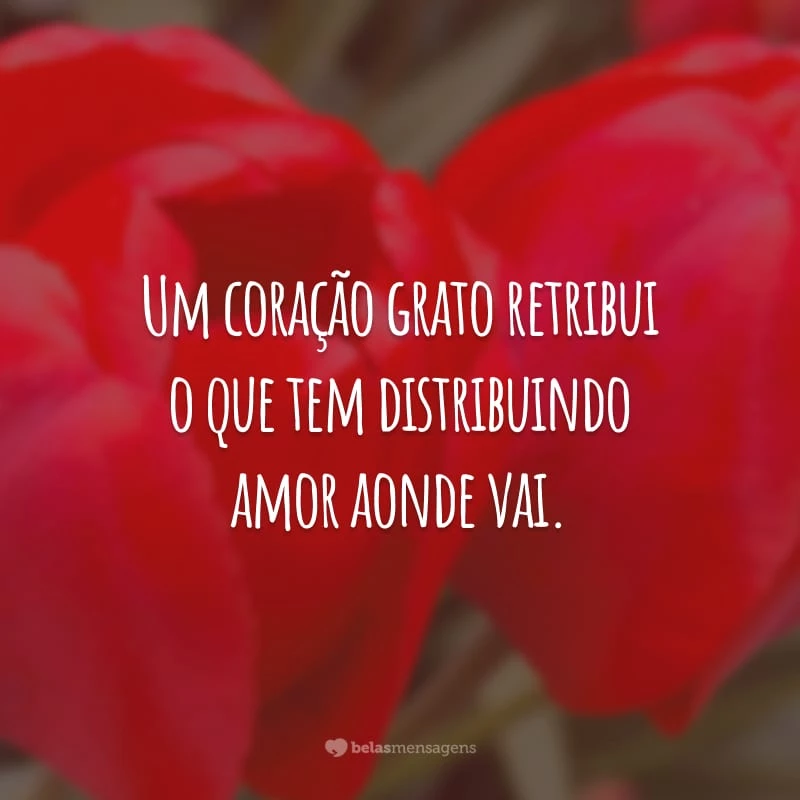 Um coração grato retribui o que tem distribuindo amor aonde vai.