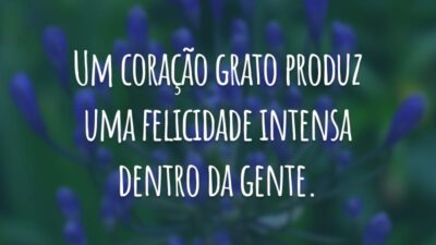 Um coração grato produz uma felicidade intensa dentro da gente.