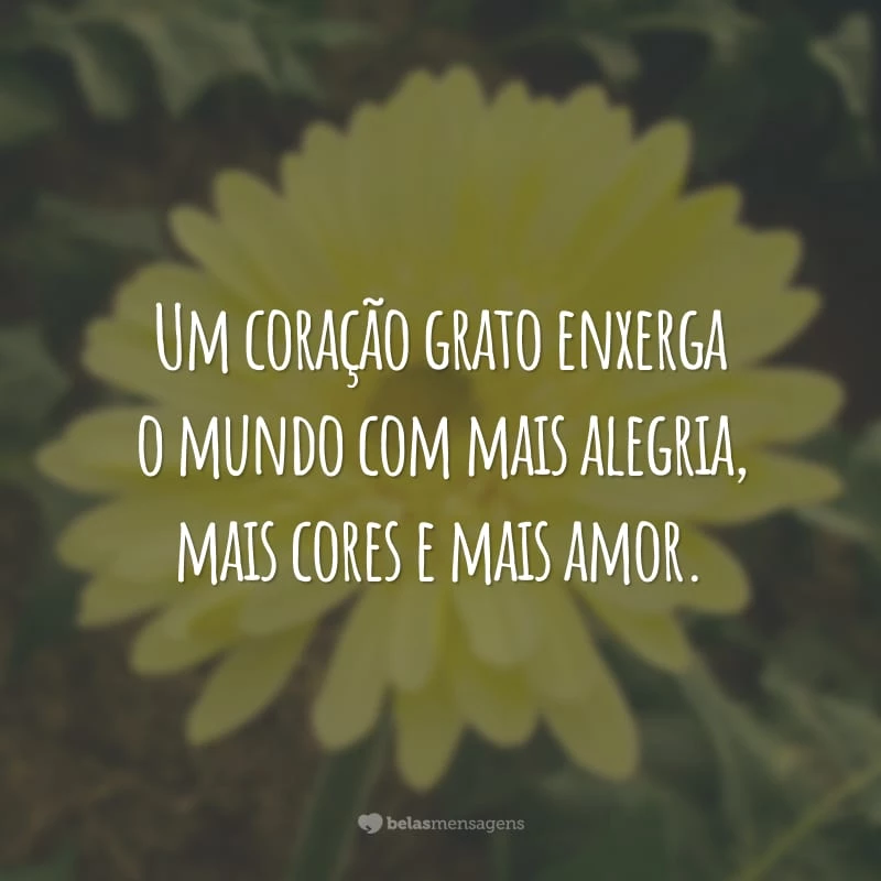 Um coração grato enxerga o mundo com mais alegria, mais cores e mais amor.