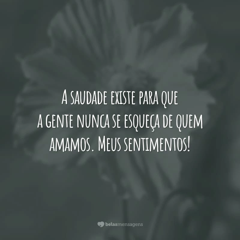 A saudade existe para que a gente nunca se esqueça de quem amamos. Meus sentimentos!