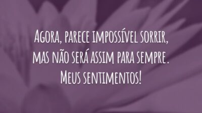 Agora, parece impossível sorrir, mas não será assim para sempre. Meus sentimentos!