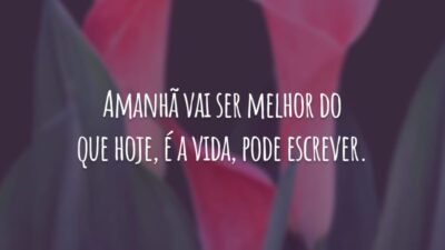 Amanhã vai ser melhor do que hoje, é a vida, pode escrever.