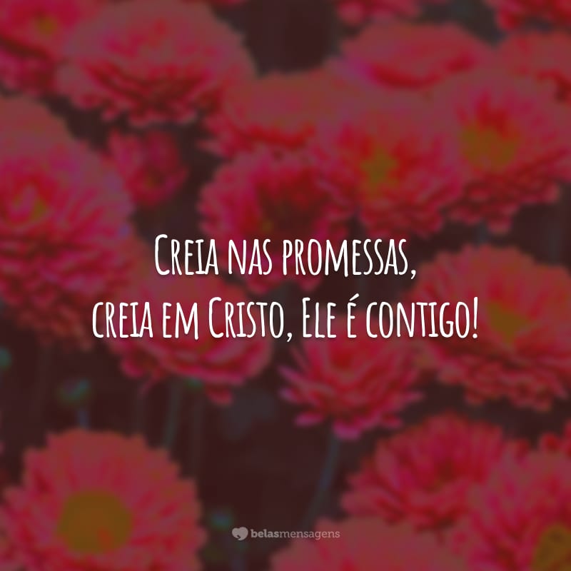 Creia nas promessas, creia em Cristo, Ele é contigo!