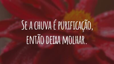 Se a chuva é purificação, então deixa molhar.