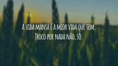 A vida mansa é a mior vida que tem. Troco por nada não, sô.