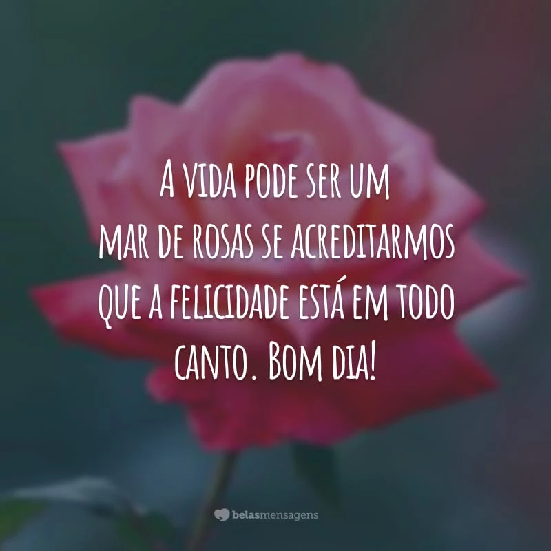 A vida pode ser um mar de rosas se acreditarmos que a felicidade está em todo canto. Bom dia!