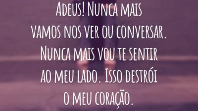 Adeus! Nunca mais vamos nos ver ou conversar. Nunca mais vou te sentir ao meu lado. Isso destrói o meu coração.