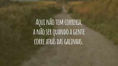 Aqui não tem correria, a não ser quando a gente corre atrás das galinhas.