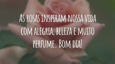 As rosas inspiram nossa vida com alegria, beleza e muito perfume. Bom dia!