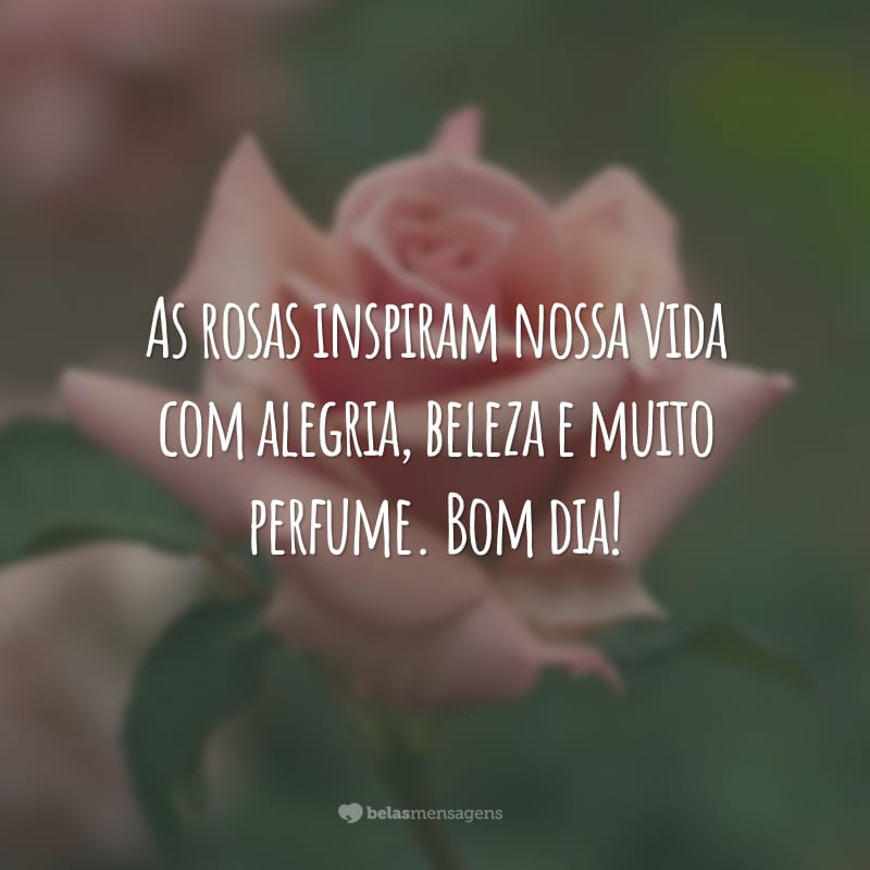 As rosas inspiram nossa vida com alegria, beleza e muito perfume. Bom dia!