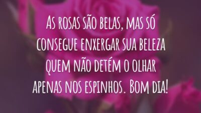 As rosas são belas, mas só consegue enxergar sua beleza quem não detém o olhar apenas nos espinhos. Bom dia!