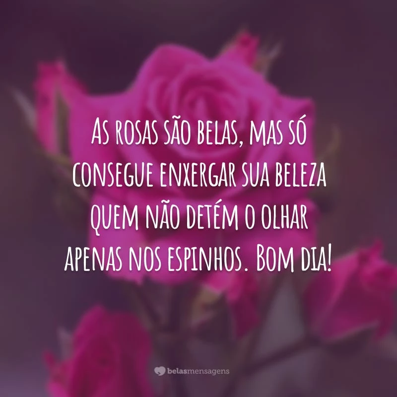 As rosas são belas, mas só consegue enxergar sua beleza quem não detém o olhar apenas nos espinhos. Bom dia!