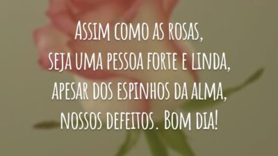 Assim como as rosas, seja uma pessoa forte e linda, apesar dos espinhos da alma, nossos defeitos. Bom dia!