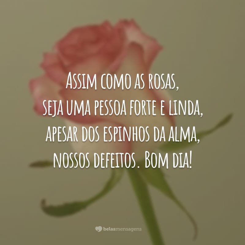 Assim como as rosas, seja uma pessoa forte e linda, apesar dos espinhos da alma, nossos defeitos. Bom dia!