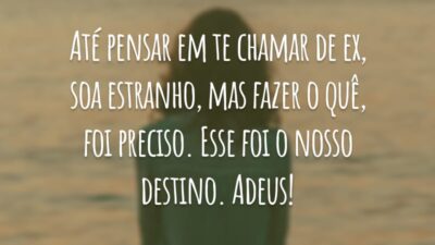 Até pensar em te chamar de ex, soa estranho, mas fazer o quê, foi preciso. Esse foi o nosso destino. Adeus!