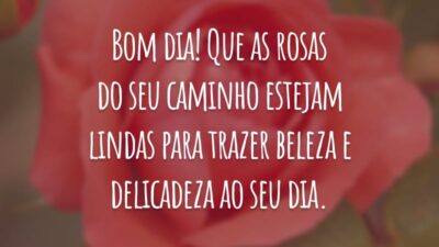 Bom dia! Que as rosas do seu caminho estejam lindas para trazer beleza e delicadeza ao seu dia.