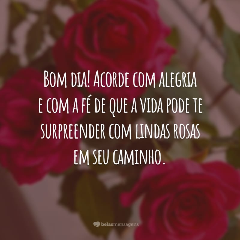 Bom dia! Acorde com alegria e com a fé de que a vida pode te surpreender com lindas rosas em seu caminho.