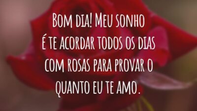 Bom dia! Meu sonho é te acordar todos os dias com rosas para provar o quanto eu te amo.