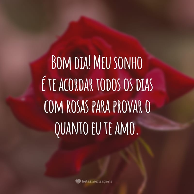 Bom dia! Meu sonho é te acordar todos os dias com rosas para provar o quanto eu te amo.