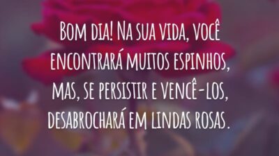 Bom dia! Na sua vida, você encontrará muitos espinhos, mas, se persistir e vencê-los, desabrochará em lindas rosas.