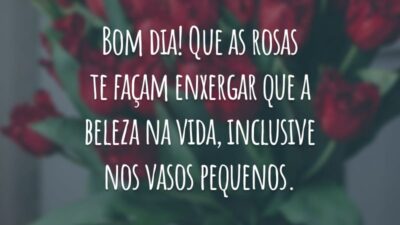 Bom dia! Que as rosas te façam enxergar a beleza da vida, inclusive nos vasos pequenos.