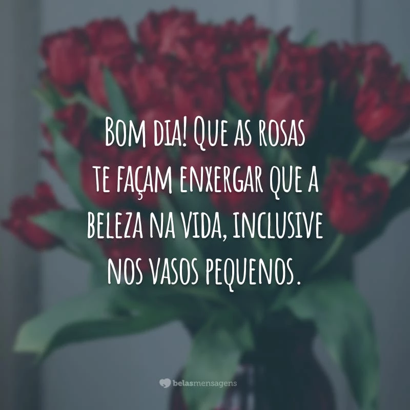 Bom dia! Que as rosas te façam enxergar a beleza da vida, inclusive nos vasos pequenos.