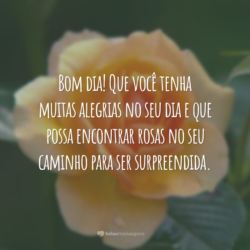 Bom dia! Que você tenha muitas alegrias no seu dia e que possa encontrar rosas no seu caminho para ser surpreendida.