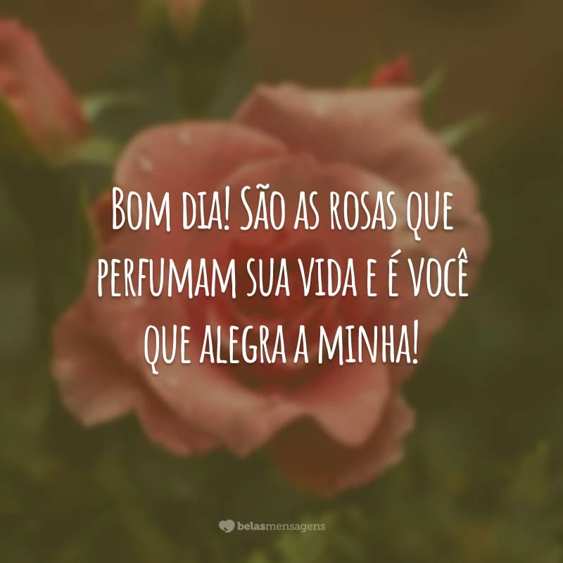 Bom dia! São as rosas que perfumam sua vida e é você que alegra a minha!