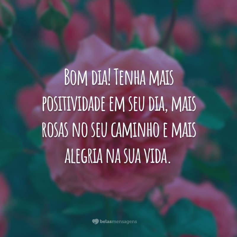 Bom dia! Tenha mais positividade em seu dia, mais rosas no seu caminho e mais alegria na sua vida.