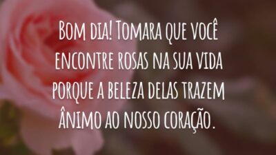 Bom dia! Tomara que você encontre rosas na sua vida, porque a beleza delas traz ânimo ao nosso coração.