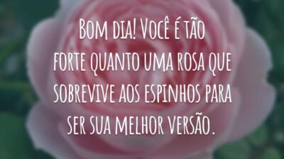 Bom dia! Você é tão forte quanto uma rosa que sobrevive aos espinhos para ser sua melhor versão.