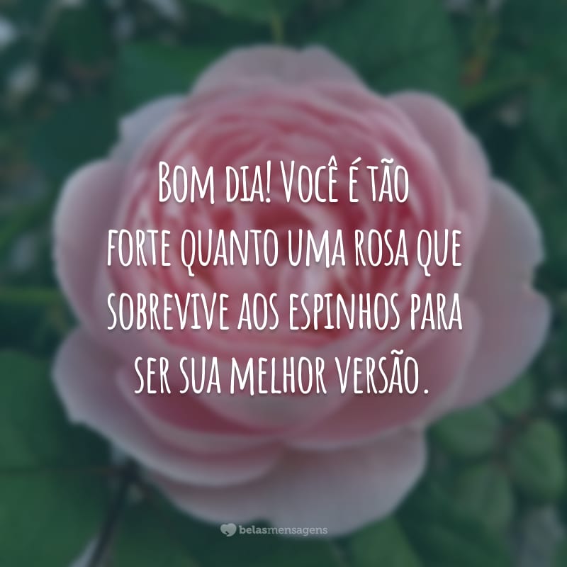 Bom dia! Você é tão forte quanto uma rosa que sobrevive aos espinhos para ser sua melhor versão.