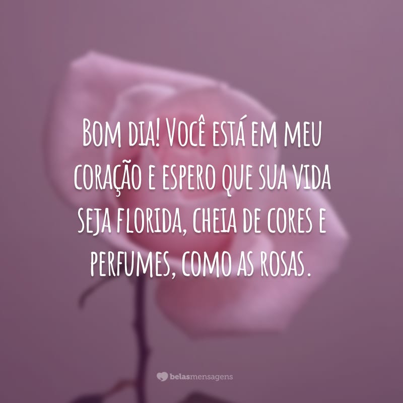 Bom dia! Você está em meu coração e espero que sua vida seja florida, cheia de cores e perfumes, como as rosas.